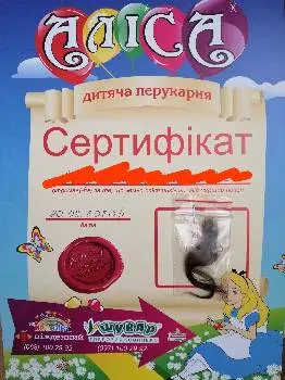 Аліса - Дитяча Перукарня — фото 4