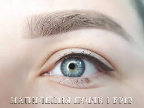 Салон краси ОКРАСА, перукарня, пудрове напилення, школа перманентного макіяжу — фото 5