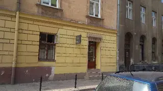 Кульбаба — фото