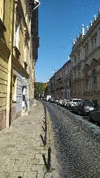Кульбаба — фото 5