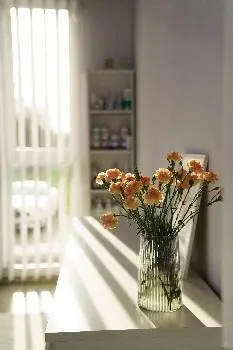 Лазерна епіляція "Epilroom" від Ольги Шведи — фото 3