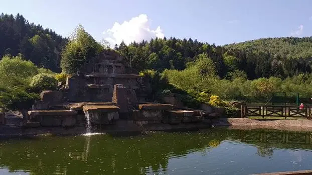 TAOR Karpaty Resort & Spa — фото 2
