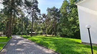 Перлина Львова — фото