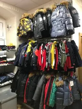 Кенгуру — фото 4