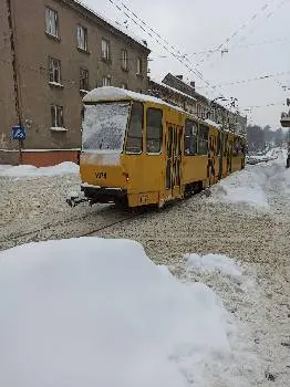 Доставка квітів Львів — фото 2