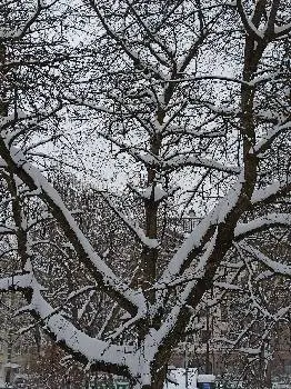 Доставка квітів Львів — фото 3