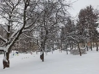 Доставка квітів Львів — фото 5
