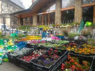 Світ Квітів — фото