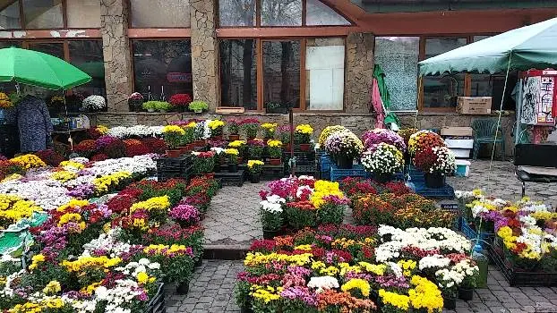 Світ Квітів — фото 5