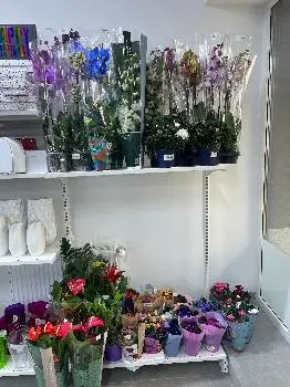 КВІТИ, кульки, доставка-FLOWER taxi — фото 3