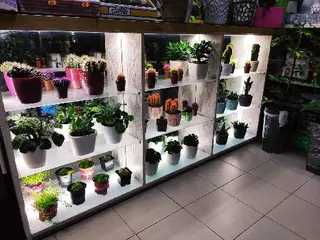 Квіти цілодобово Kvitka — фото 2