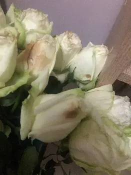 ГУРТІВНЯ КВІТІВ - FLOWER taxi — фото 4