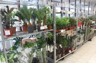 Гуртівня Пелюстка — фото 3
