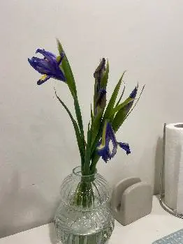 Troyanda Flowers Магазин квітів — фото 4