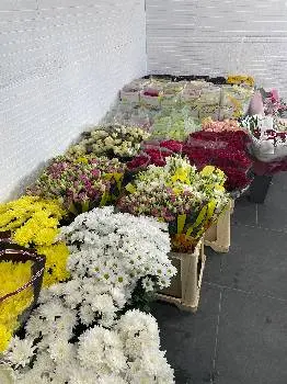 ГУРТІВНЯ КВІТІВ-FLOWER taxi — фото 5