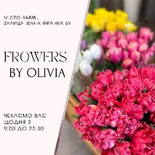 Квіти flowers by olivia — фото 5
