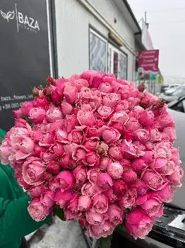 Гуртівня квітів Baza Flowers — фото 2