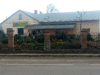 Розсадник рослин / Садовий центр "Декоративні рослини" — фото 2