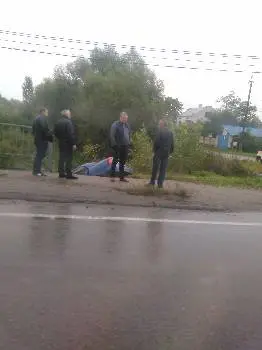 Розсадник рослин / Садовий центр "Декоративні рослини" — фото 5