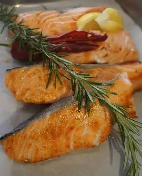 Fast Fish - Швидка Рибка — фото