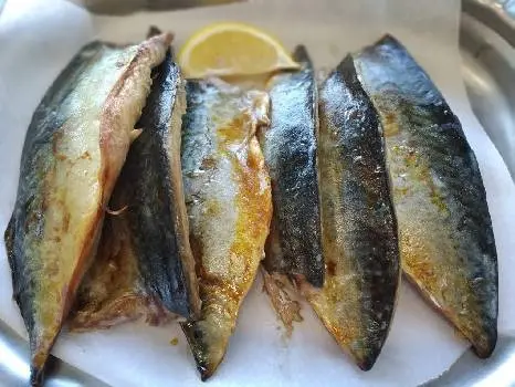 Fast Fish - Швидка Рибка — фото 5