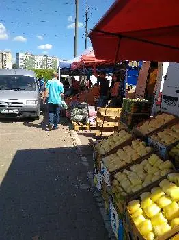 Термінал фруктів та овочів — фото 4