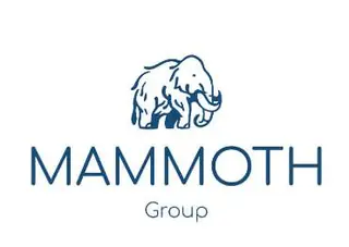 Mammoth Group — фото