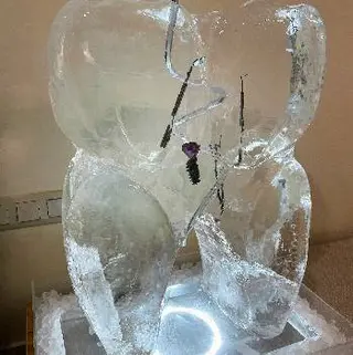 Cold ice delivery / Доставка льоду — фото 5