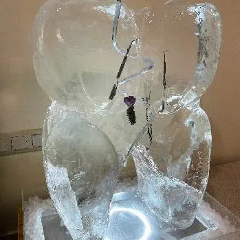 Cold ice delivery / Доставка льоду — фото 5