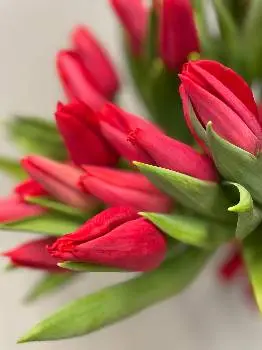 Квіти Повітряні Кульки | I Love Flowers_lviv — фото 5