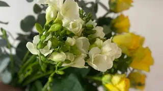 Флористична студія Oli Flori — фото 5