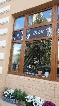 Брунька. Домашні джунглі — фото