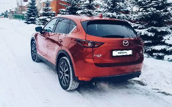Rental (Оренда авто у Львові) — фото 3
