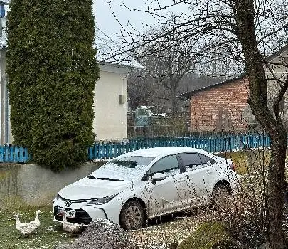 Alin - Оренда авто та пасажирські перевезення у Львові — фото 5